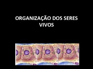 ORGANIZAO DOS SERES VIVOS O QUE UM SER