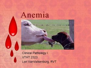 Anemia Clinical Pathology I VTHT 2323 Lori Van