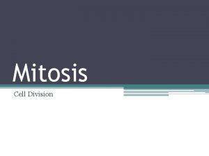 Mitosis Cell Division Why Cell Division is Important