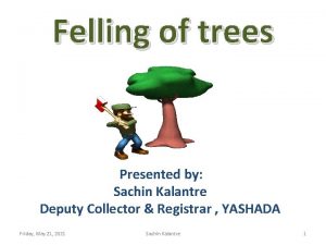 Felling of trees Presented by Sachin Kalantre Deputy