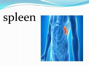 Applied anatomy of spleen