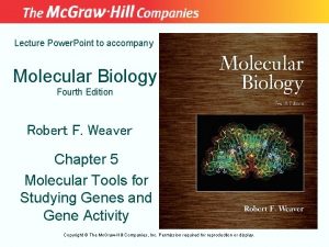 Lecture Power Point to accompany Molecular Biology Fourth