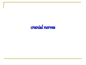 cranial nerves Names of cranial nerves n n