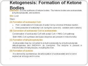 Ketogenesis pathway