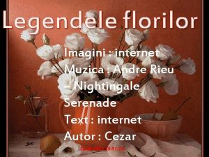 Legendele florilor Imagini internet Muzica Andre Rieu Nightingale