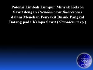 Potensi Limbah Lumpur Minyak Kelapa Sawit dengan Pseudomonas