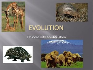 EVOLUTION Descent with Modification Evolution is about changes