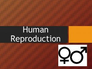 Human Reproduction Female Reproductive System Female reproductive organs