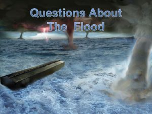 Questions About The Flood Questions About The Flood
