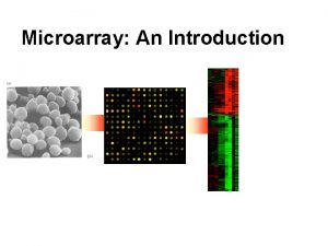 Microarray An Introduction Gene Background Gene a region
