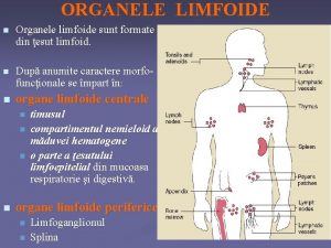 ORGANELE LIMFOIDE n Organele limfoide sunt formate din