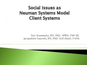 Social Issues as Neuman Systems Model Client Systems