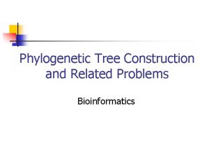 Phylogenetic Tree Construction and Related Problems Bioinformatics Problems