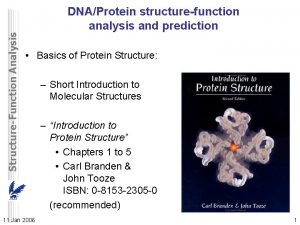 StructureFunction Analysis DNAProtein structurefunction analysis and prediction Basics