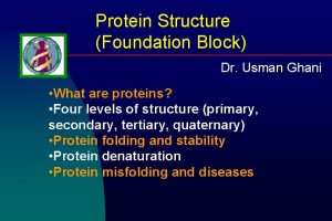 Protein Structure Foundation Block Dr Usman Ghani What