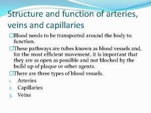 Structure and function of arteries veins and capillaries