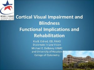 Cortical Visual Impairment and Blindness Functional Implications and