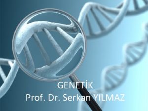GENETK Prof Dr Serkan YILMAZ Tarih ncesi dnemler
