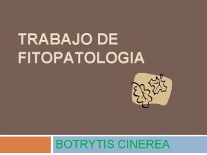 TRABAJO DE FITOPATOLOGIA BOTRYTIS CINEREA INDICE Definicin y