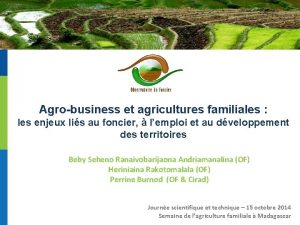 Agrobusiness et agricultures familiales les enjeux lis au