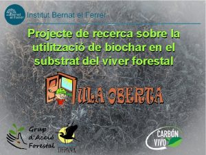 Projecte de recerca sobre la utilitzaci de biochar