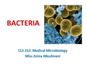 BACTERIA CLS 212 Medical Microbiology Miss Zeina Alkudmani