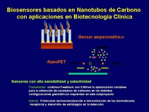 Biosensores basados en Nanotubos de Carbono con aplicaciones