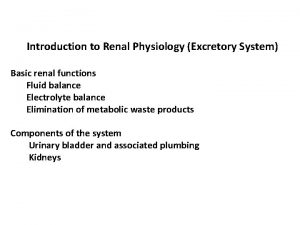 Introduction to Renal Physiology Excretory System Basic renal