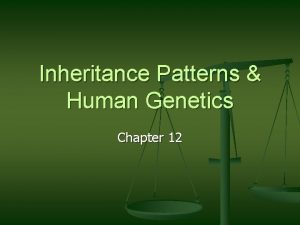Inheritance Patterns Human Genetics Chapter 12 Chromosomes Inheritance