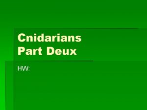 Cnidarians Part Deux HW Reproduction Most cnidarians have