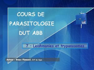 COURS DE PARASITOLOGIE DUT ABB 7 Leishmanies et