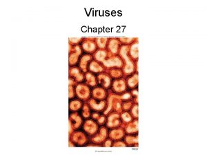 Viruses Chapter 27 Nature of Viruses All viruses