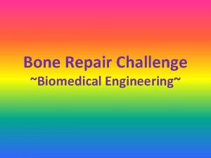 Bone Repair Challenge Biomedical Engineering Bone Fractures Many