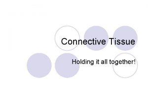 Connective Tissue Holding it all together Connective tissue