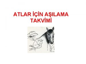 ATLAR N AILAMA TAKVM Equine ABORTON EHV1 Gebe