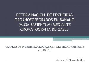 DETERMINACION DE PESTICIDAS ORGANOFOSFORADOS EN BANANO MUSA SAPIENTUM