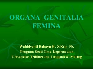 Genitalia femina