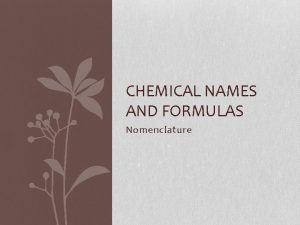 CHEMICAL NAMES AND FORMULAS Nomenclature Naming Monatomic Ions