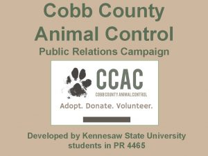 Cobb County Animal Control Public Relations Campaign Developed