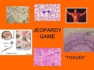 JEOPARDY GAME TISSUES Epithelial Tissues Connective Muscle Tissues