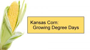 Kansas Corn Growing Degree Days Goals Growing Degree