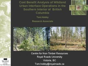 Cost Benefit Analysis of Wildland Urban Interface Operations