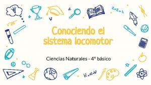 Conociendo el sistema locomotor Ciencias Naturales 4 bsico