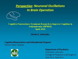 Perspective Neuronal Oscillations In Brain Operation Cognitive Neuroscience