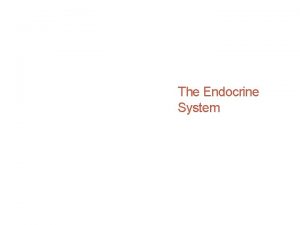 The Endocrine System The Endocrine System Hormones control