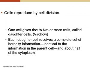 Cells reproduce by cell division One cell gives