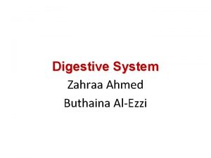 Digestive System Zahraa Ahmed Buthaina AlEzzi The digestive