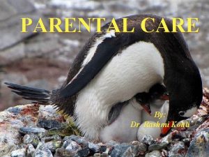 PARENTAL CARE By Dr Rashmi Kohli DEFINATION n