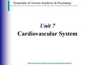 Anatomy and physiology unit 7 cardiovascular system