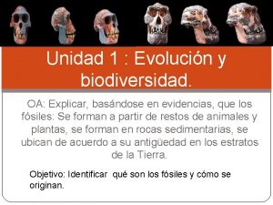 Unidad 1 Evolucin y biodiversidad OA Explicar basndose